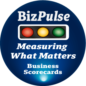 BizPulse Betetr Business scorecard by www.bizvision.co.uk