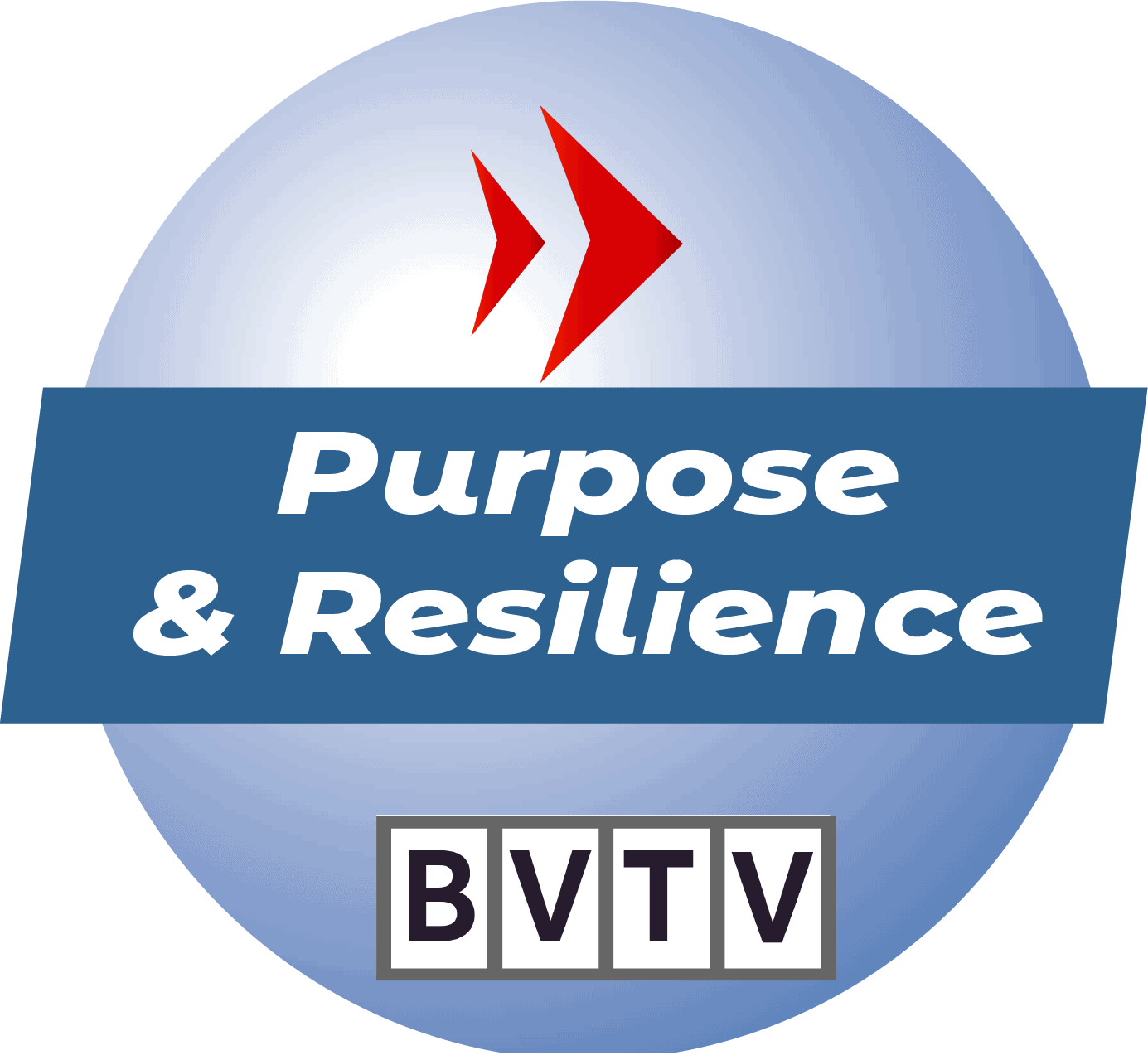Purpose and Resilience Answers at www.bizvision.co.uk