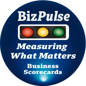 BizPulse Business scorecard from www.bizvision.co.uk