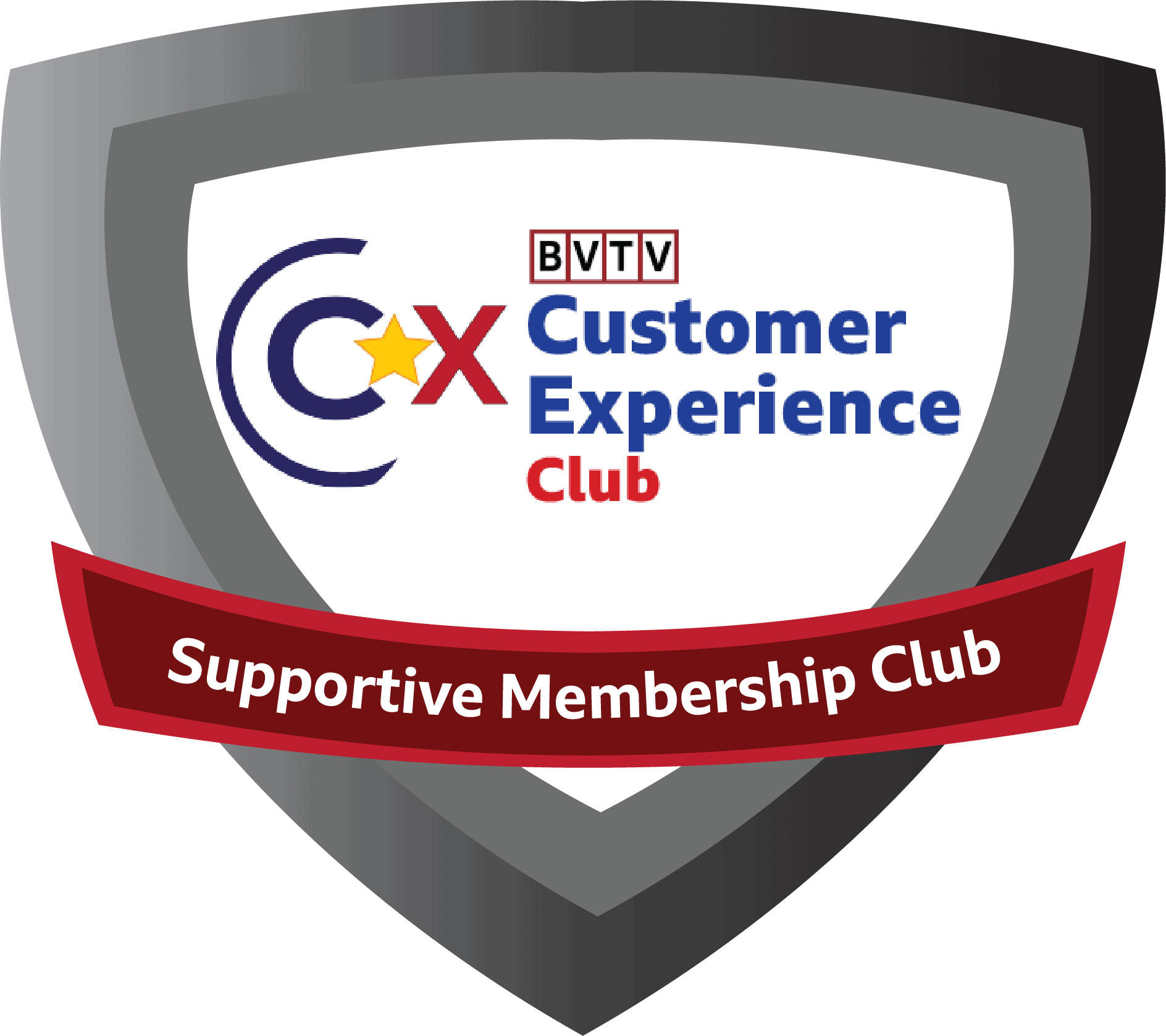 BVTV Customer Experience Club at www.bizvision.co.uk